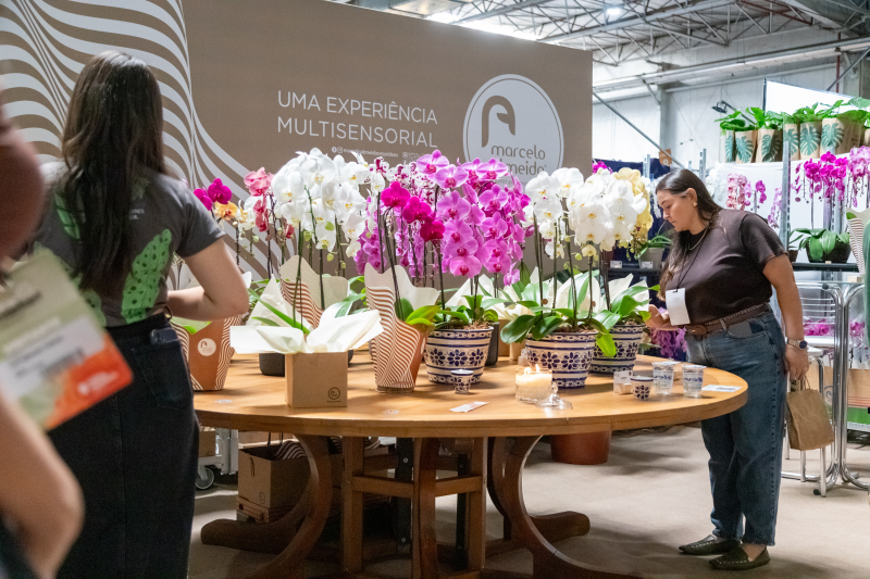 Créditos da foto: Divulgação