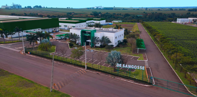 Divulgação De Sangosse