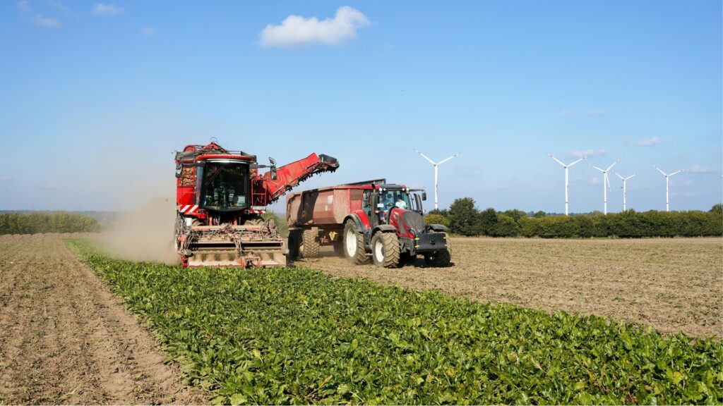 Créditos da foto: Divulgação