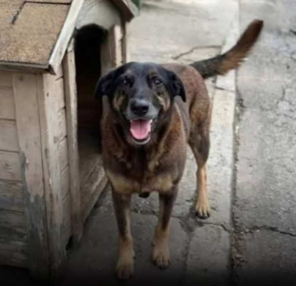 Créditos da Foto: Divulgação