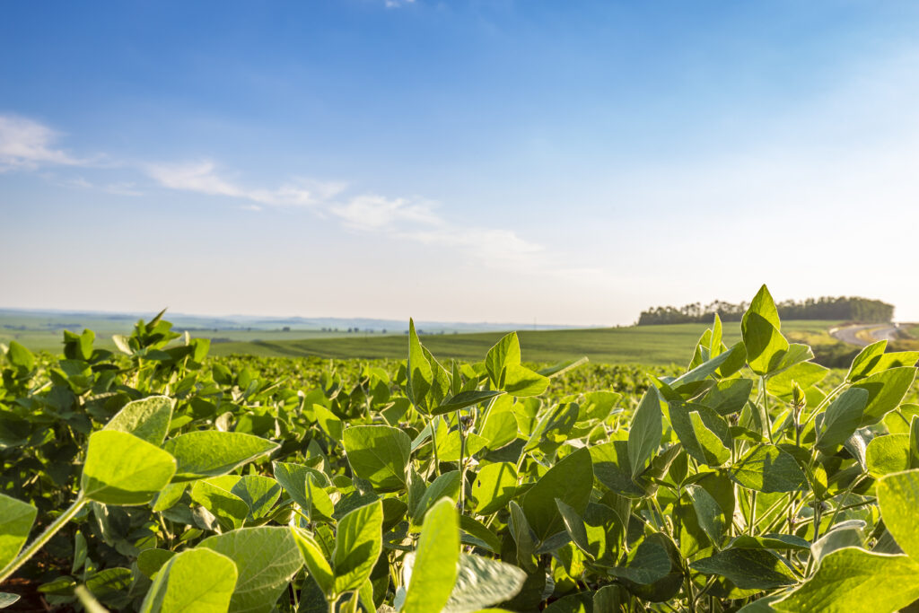 Créditos da foto: Divulgação