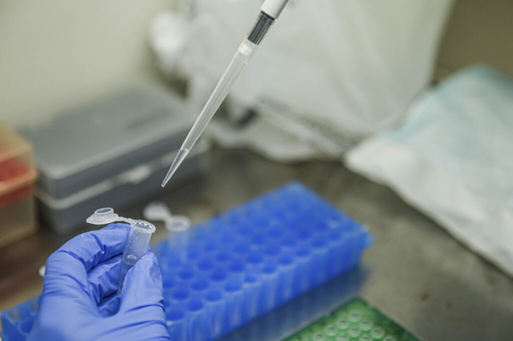 Créditos da Foto: aregobarros@gmail.com