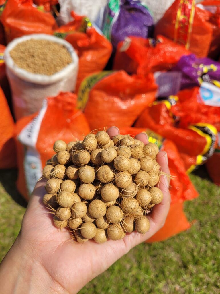 Créditos da foto: Divulgação