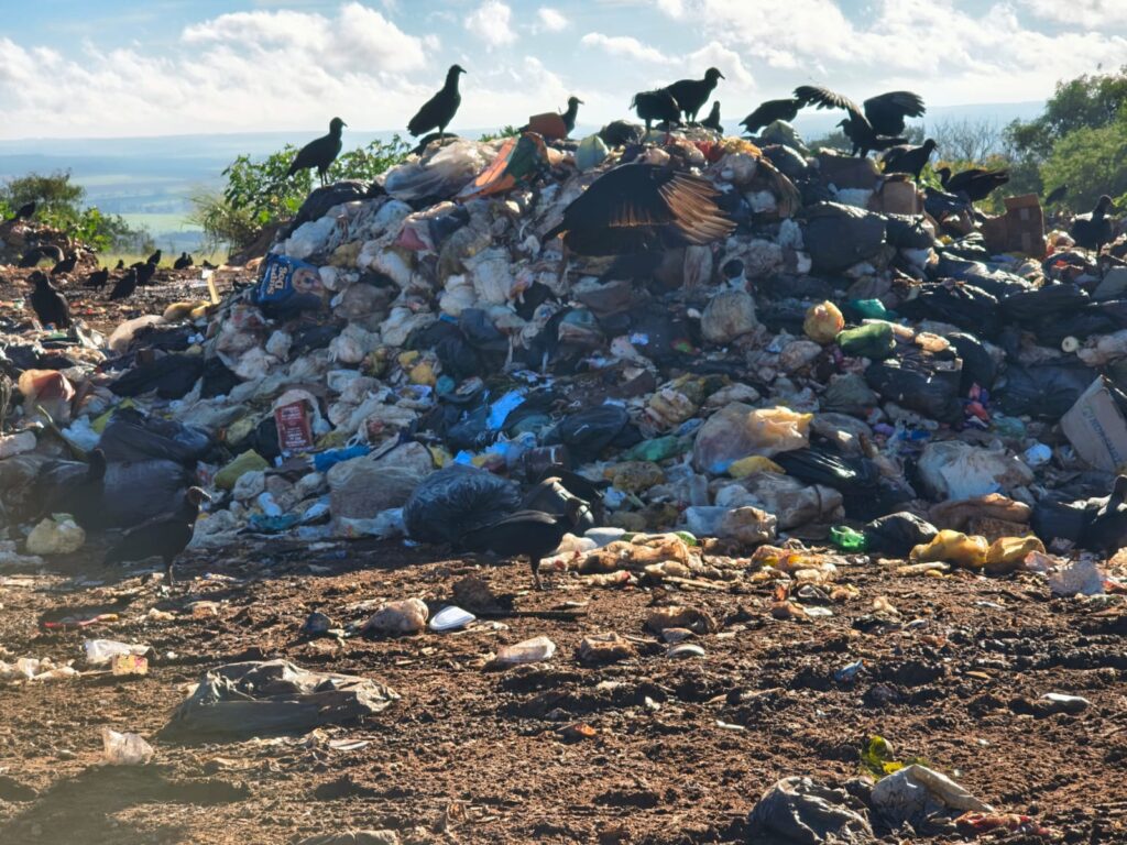 Divulgação/TCESP