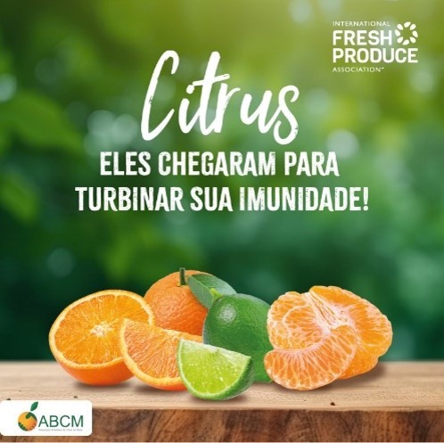 Citrus - Créditos da foto: Divulgação