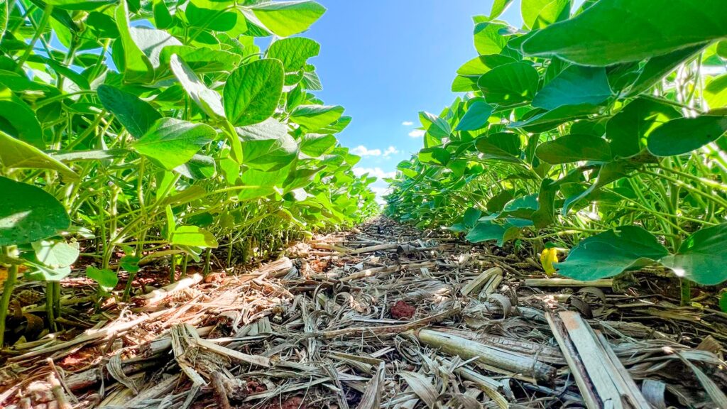 Divulgação Regenera Agro