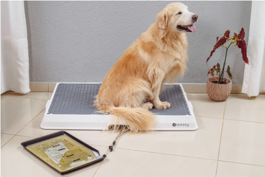 Weasy Cão com Weasy Bag