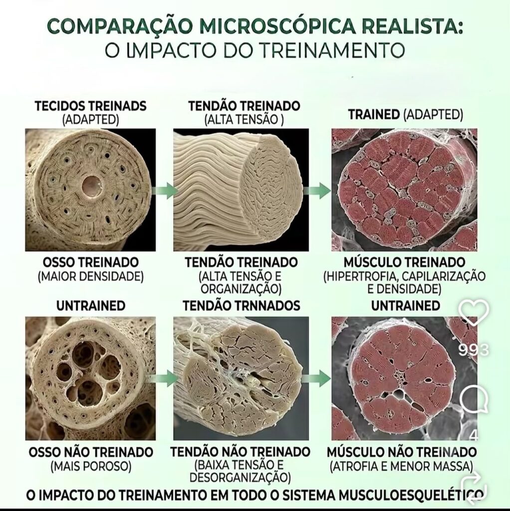 Créditos da Foto: Divulgação