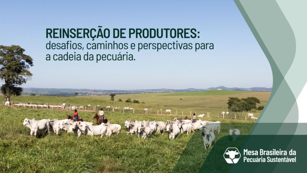 Créditos da imagem: Divulgação