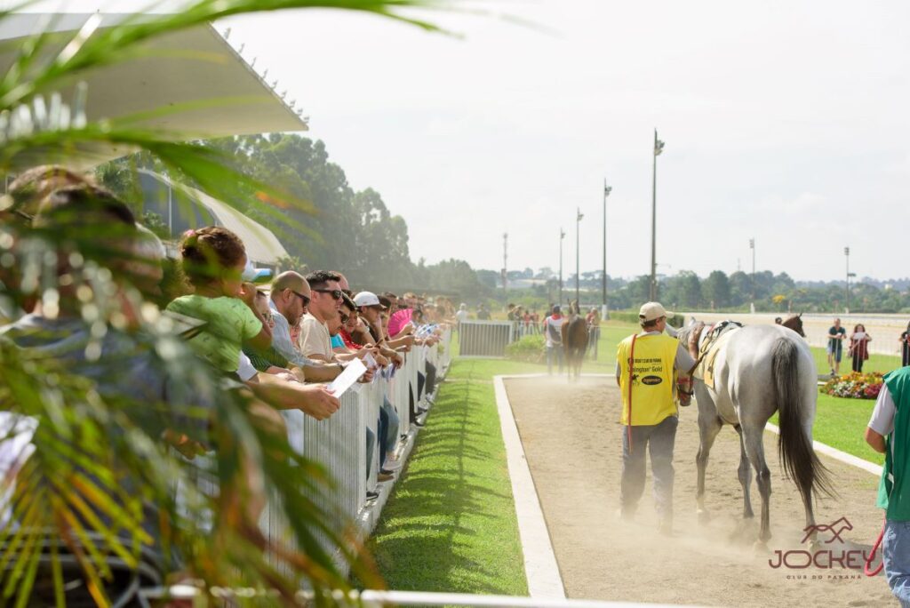 Jockey 11 de outubro - Créditos da foto: Divulgação